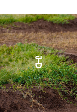 Lade das Bild in den Galerie-Viewer, Einen Baum pflanzen